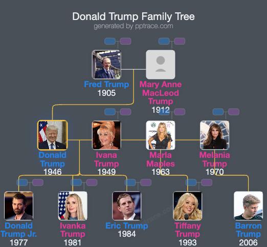 Donald Trump family tree overview