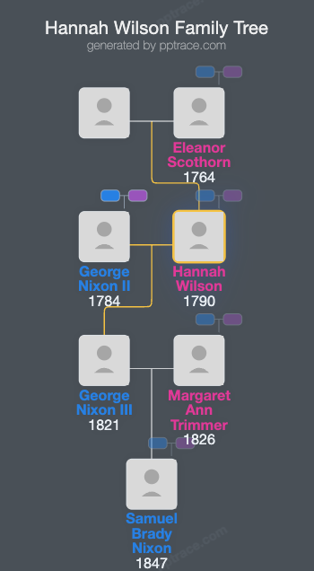 Hannah Wilson family tree overview