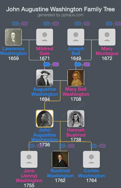 John Augustine Washington family tree overview