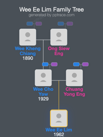 Wee Ee Lim family tree overview