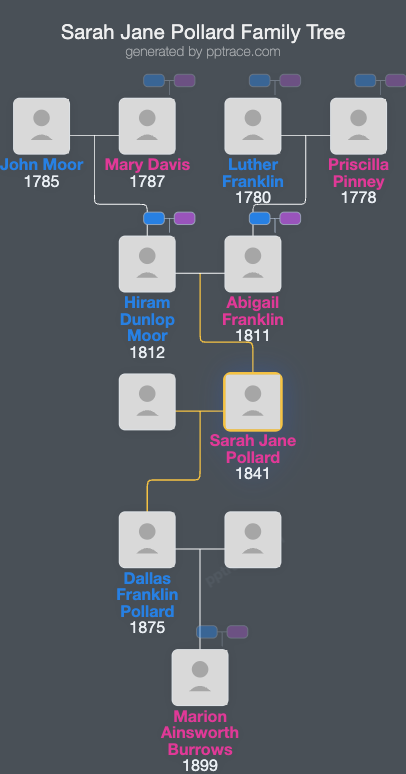Sarah Jane Pollard family tree overview