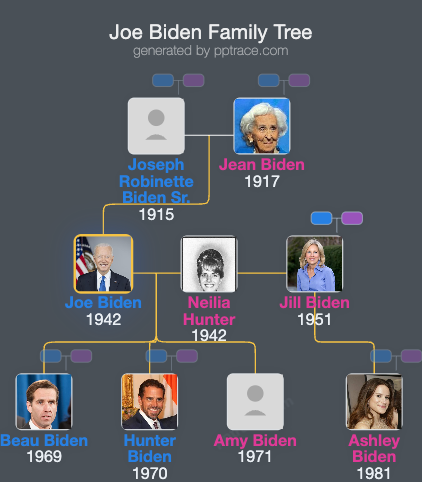 Joe Biden family tree overview