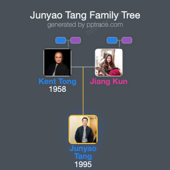 Junyao Tang family tree overview
