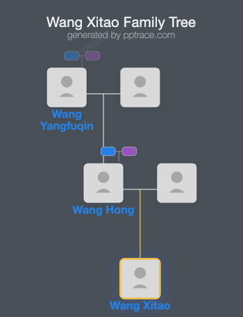 Wang Xitao family tree overview