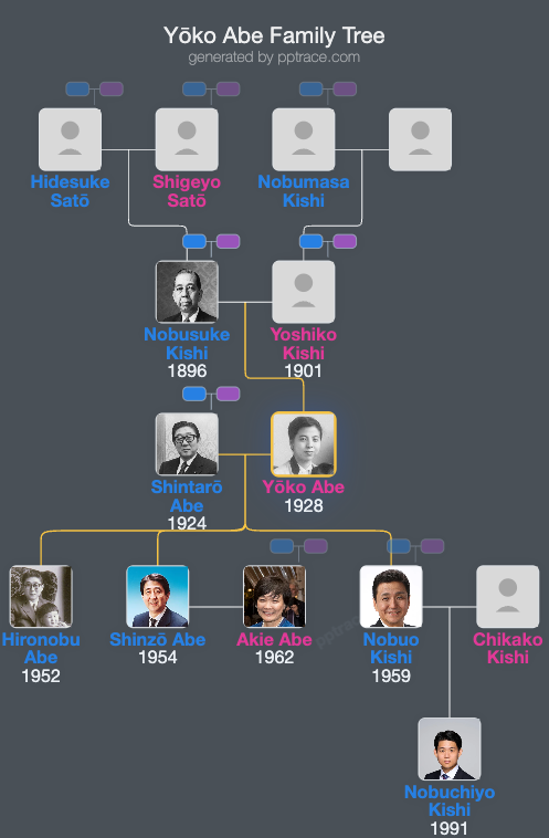 Yōko Abe family tree overview