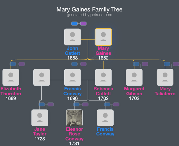 Mary Gaines family tree overview