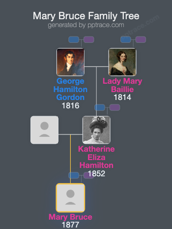 Mary Bruce family tree overview