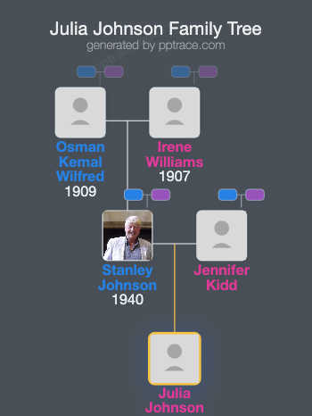 Julia Johnson family tree overview