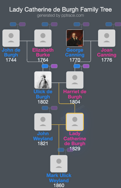 Lady Catherine De Burgh family tree overview