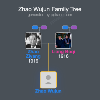 Zhao Wujun family tree overview