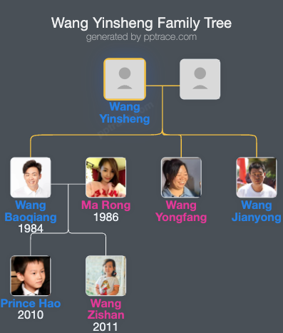Wang Yinsheng family tree overview