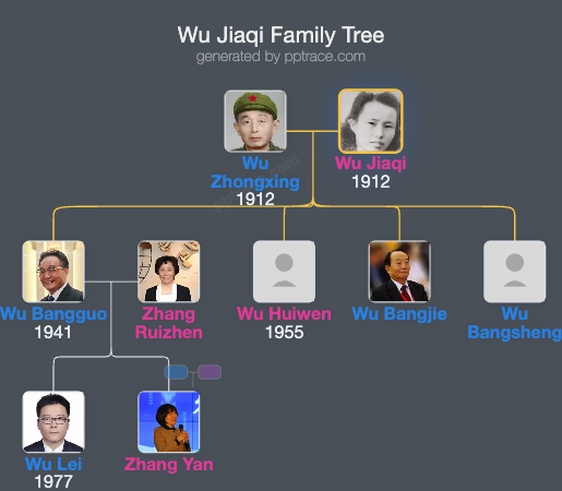 Wu Jiaqi family tree overview