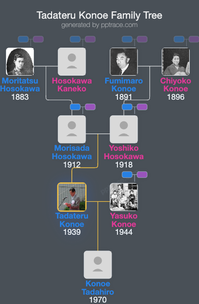 Tadateru Konoe family tree overview