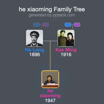 He Xiaoming family tree overview