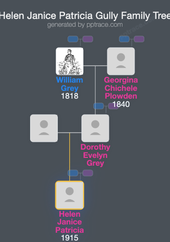 Helen Janice Patricia Gully family tree overview