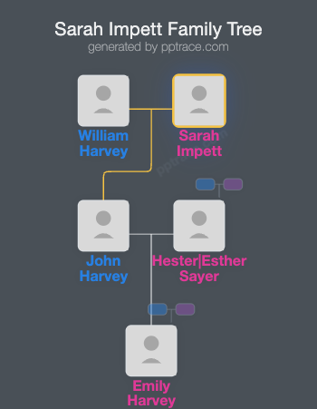 Sarah Impett family tree overview