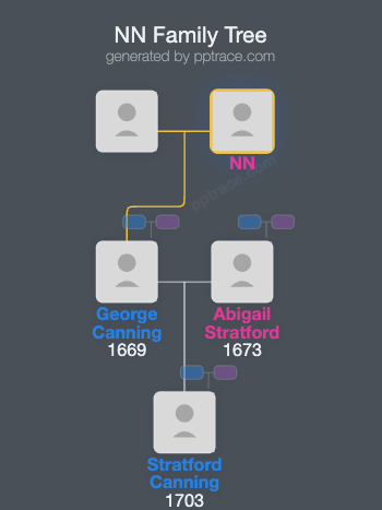 NN family tree overview