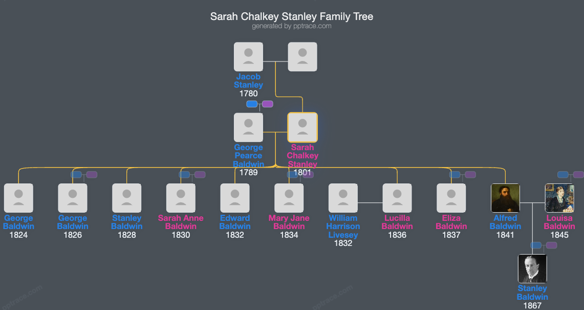 Sarah Chalkey Stanley family tree overview
