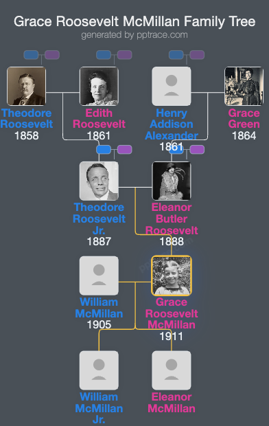 Grace Roosevelt McMillan family tree overview