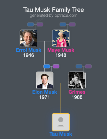 Tau Musk family tree overview