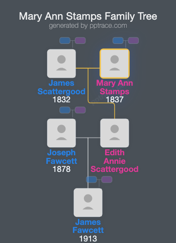 Mary Ann Stamps family tree overview
