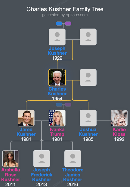 Charles Kushner family tree overview