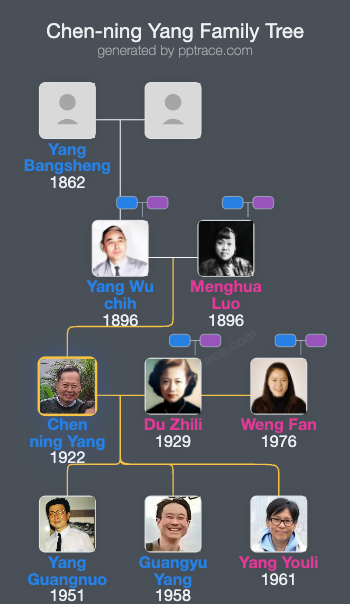 Chen-ning Yang family tree overview