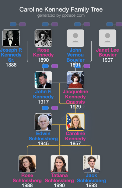 Caroline Kennedy family tree overview