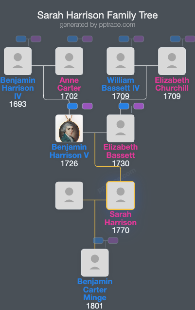 Sarah Harrison family tree overview