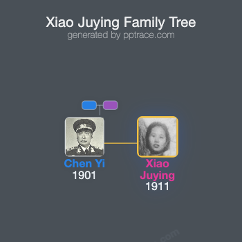 Xiao Juying family tree overview