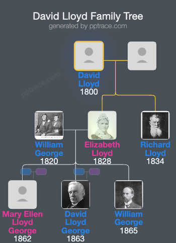 David Lloyd family tree overview