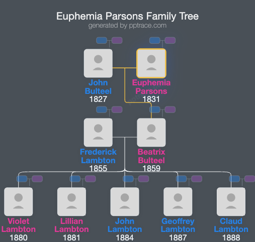 Euphemia Parsons family tree overview