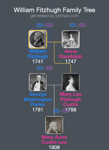 William Fitzhugh family tree overview