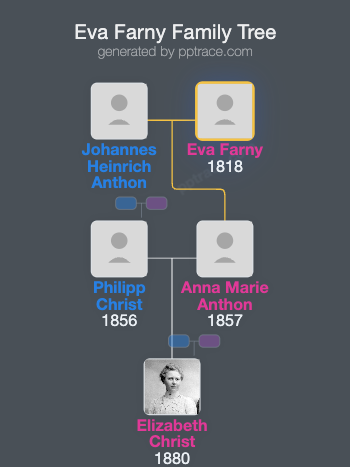 Eva Farny family tree overview