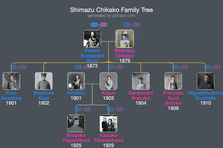 Shimazu Chikako family tree overview