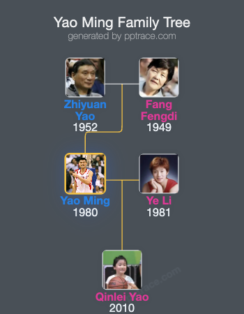 Yao Ming family tree overview
