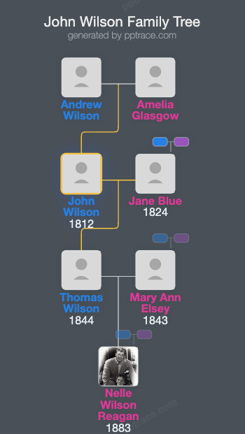 John Wilson family tree overview