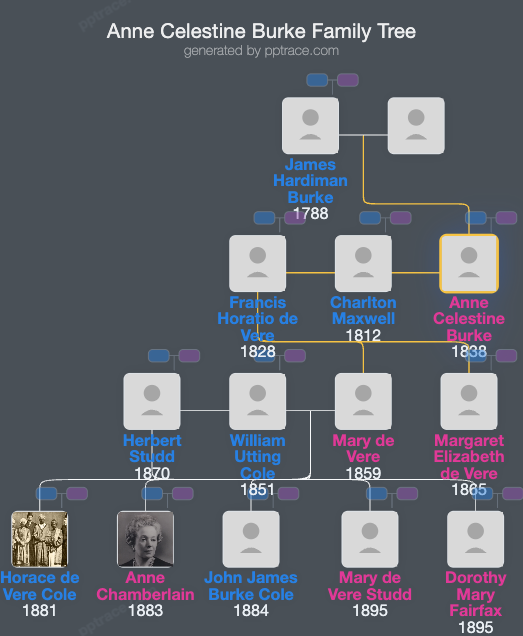 Anne Celestine Burke family tree overview