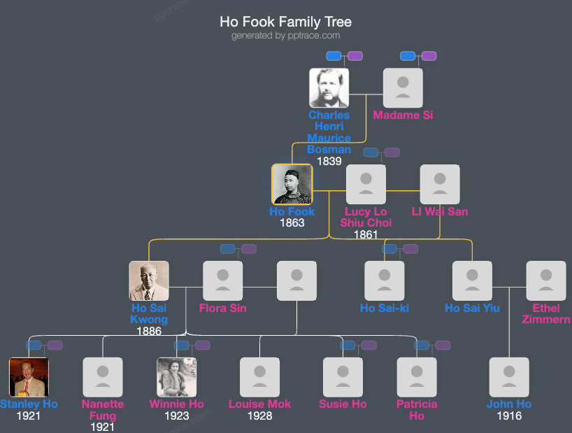 Ho Fook family tree overview