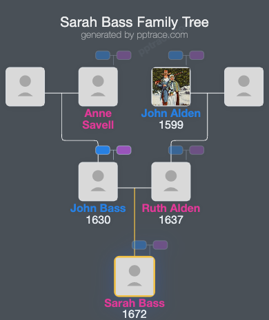 Sarah Bass family tree overview