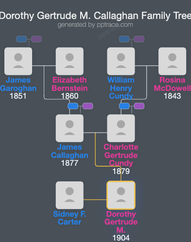 Dorothy Gertrude M. Callaghan family tree overview