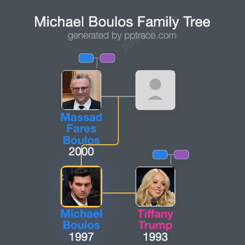 Michael Boulos family tree overview