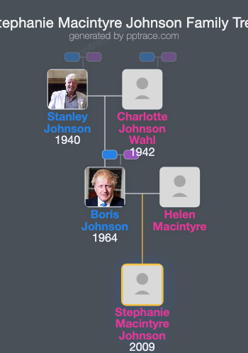 Stephanie Macintyre Johnson family tree overview