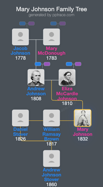 Mary Johnson family tree overview