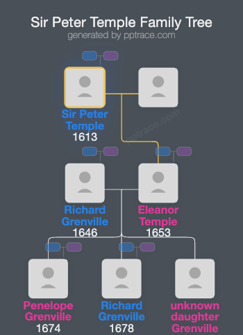 Sir Peter Temple family tree overview