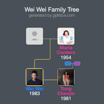 Wei Wei family tree overview