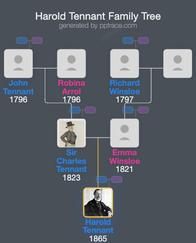 Harold Tennant family tree overview