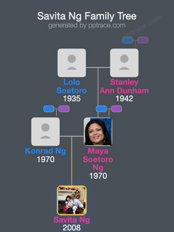 Savita Ng family tree overview