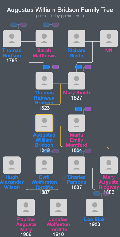 Augustus William Bridson family tree overview