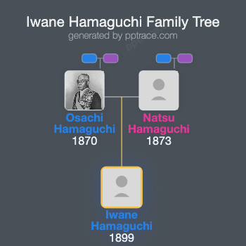 Iwane Hamaguchi family tree overview